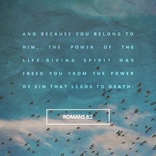 Romans 8:1-4 - So now there is no condemnation for those who belong to Christ Jesus. And because you belong to him, the power of the life-giving Spirit has freed you from the power of sin that leads to death. The law of Moses was unable to save us because of the weakness of our sinful nature. So God did what the law could not do. He sent his own Son in a body like the bodies we sinners have. And in that body God declared an end to sin’s control over us by giving his Son as a sacrifice for our sins. He did this so that the just requirement of the law would be fully satisfied for us, who no longer follow our sinful nature but instead follow the Spirit.