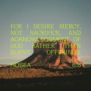 Hosea 6:6 - For I desire mercy and not sacrifice,
And the knowledge of God more than burnt offerings.