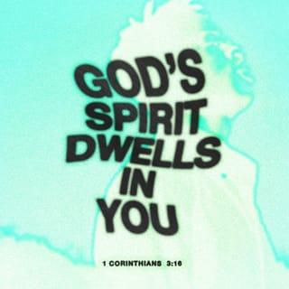 1 Corinthians 3:16 - Do you not know that you are a temple of God and that the Spirit of God dwells in you?