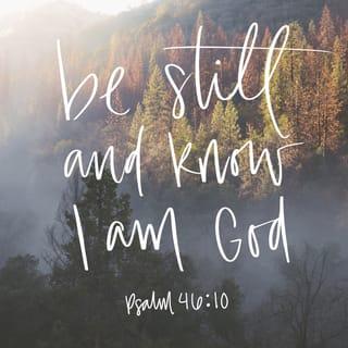 Psalms 46:10 - He says, ‘Be still, and know that I am God;
I will be exalted among the nations,
I will be exalted in the earth.’