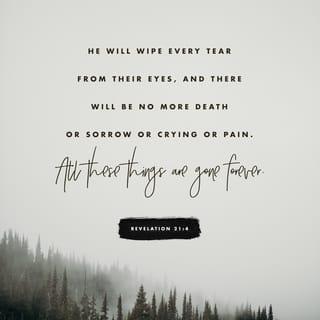 Revelation 21:4 - He will wipe away every tear from their eyes. Death will be no more. There will be no mourning, crying, or pain anymore, for the former things have passed away.”
