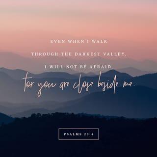 Psalms 23:4 - Even though I walk through the valley of the shadow of death,
I fear no evil, for You are with me;
Your rod and Your staff, they comfort me.