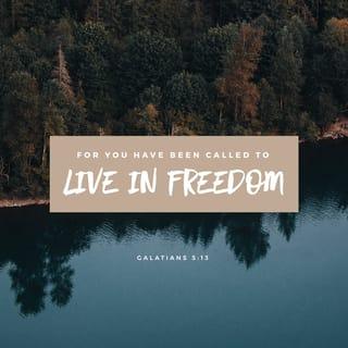 Galatians 5:13 - For you, my brothers, were called to freedom; only do not let your freedom become an opportunity for the sinful nature (worldliness, selfishness), but through love serve and seek the best for one another.