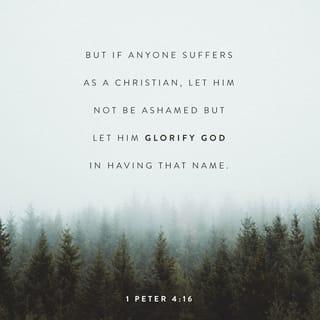 I Peter 4:16 - Yet if anyone suffers as a Christian, let him not be ashamed, but let him glorify God in this matter.