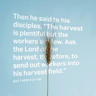 Matthew 9:38 - So pray to the Lord who is in charge of the harvest; ask him to send more workers into his fields.”