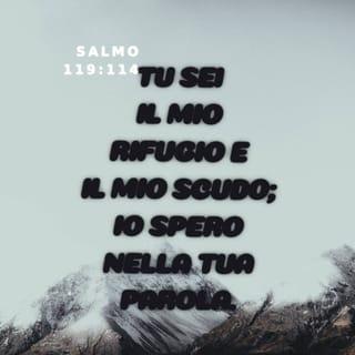 Salmi 119:113-120 NR06