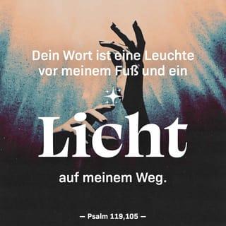 Psalmen 119:105 - Dein Wort ist eine Leuchte vor meinem Fuß und ein Licht auf meinem Weg.