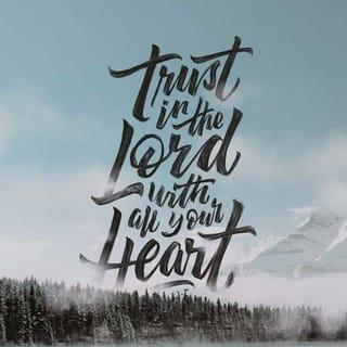 Proverbs 3:5-6 - Trust in the LORD with all your heart
and lean not on your own understanding;
in all your ways submit to him,
and he will make your paths straight.