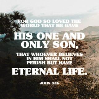 John 3:16 - For God so loved the world that He gave His only begotten Son, that whoever believes in Him should not perish but have everlasting life.