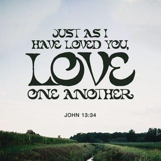 John 13:34 - A new commandment I give unto you, That ye love one another; as I have loved you, that ye also love one another.