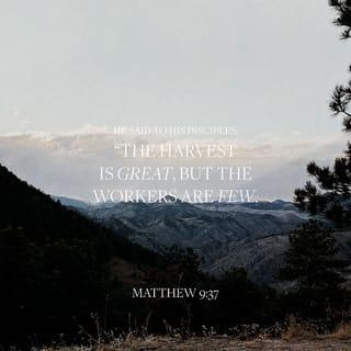 Matthew 9:36-38 - When he saw the crowds, he had compassion for them, because they were harassed and helpless, like sheep without a shepherd. Then he said to his disciples, “The harvest is plentiful, but the laborers are few; therefore pray earnestly to the Lord of the harvest to send out laborers into his harvest.”