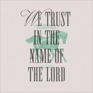 Psalm 20:7 - Some trust in chariots and some in horses,
but we trust in the name of the LORD our God.