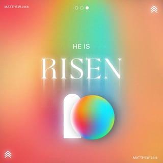 Matthew 28:6-7 - He is not here: for he is risen, as he said. Come, see the place where the Lord lay. And go quickly, and tell his disciples that he is risen from the dead; and, behold, he goeth before you into Galilee; there shall ye see him: lo, I have told you.