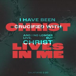Galatians 2:20 - I have been crucified with Christ. It is no longer I who live, but Christ who lives in me. And the life I now live in the flesh I live by faith in the Son of God, who loved me and gave himself for me.