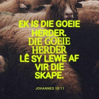 JOHANNES 10:11 - “Ek is die goeie herder. Die goeie herder lê sy lewe af vir die skape.