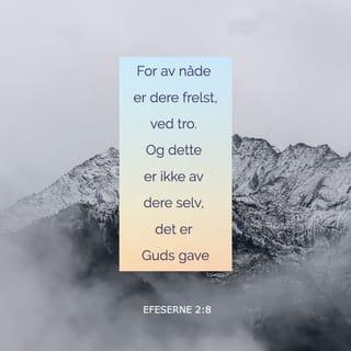 Efeserne 2:8 NB