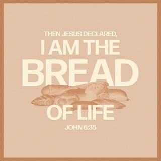 John 6:35-48 NCV