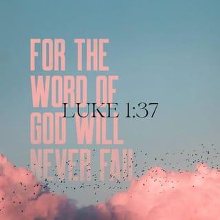 Luke 1:37 - For the word of God will never fail.”