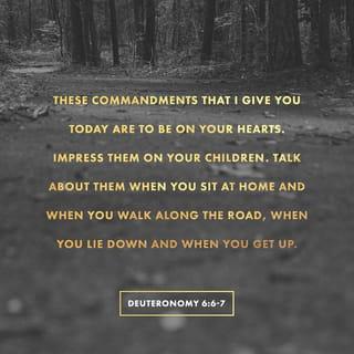 Deuteronomy 6:7 - You shall whet and sharpen them so as to make them penetrate, and teach and impress them diligently upon the [minds and] hearts of your children, and shall talk of them when you sit in your house and when you walk by the way, and when you lie down and when you rise up.