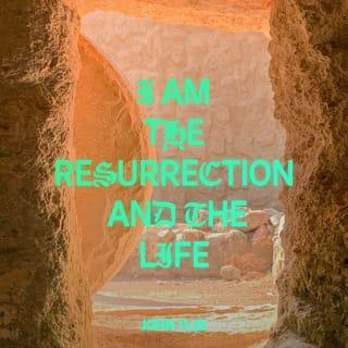 John 11:25-27 - Jesus said unto her, I am the resurrection, and the life: he that believeth in me, though he were dead, yet shall he live: and whosoever liveth and believeth in me shall never die. Believest thou this? She saith unto him, Yea, Lord: I believe that thou art the Christ, the Son of God, which should come into the world.