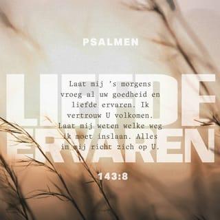 Psalmen 143:8 HTB