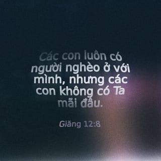 Giăng 12:8 VIE1925