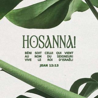 Jean 12:13 - prirent des branches de palmiers, et allèrent au-devant de lui, en criant: Hosanna! Béni soit celui qui vient au nom du Seigneur, le roi d’Israël!