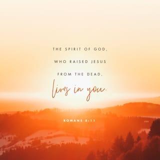 Romans 8:11 - And if the Spirit of Him Who raised up Jesus from the dead dwells in you, [then] He Who raised up Christ Jesus from the dead will also restore to life your mortal (short-lived, perishable) bodies through His Spirit Who dwells in you.