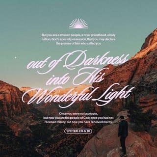 1 Peter 2:9 - But you are a chosen race, a royal priesthood, a holy nation, a people for his possession, so that you may proclaim the praises of the one who called you out of darkness into his marvelous light.