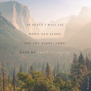 Psalm 4:8 - In peace I will both lie down and sleep;
for you alone, O LORD, make me dwell in safety.