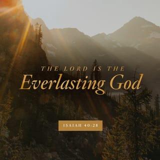 Isaiah 40:28 - Do you not know?
Have you not heard?
The LORD is the everlasting God,
the Creator of the ends of the earth.
He will not grow tired or weary,
and his understanding no one can fathom.