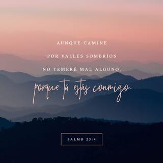 Salmo 23:4 - Aun si voy
por valles tenebrosos,
no temeré ningún mal
porque tú estás a mi lado;
tu vara y tu bastón me reconfortan.