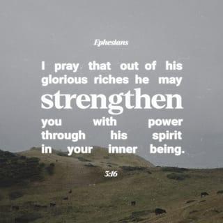 Ephesians 3:16 - May He grant you out of the rich treasury of His glory to be strengthened and reinforced with mighty power in the inner man by the [Holy] Spirit [Himself indwelling your innermost being and personality].