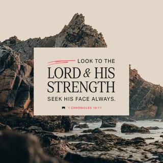 1 Chronicles 16:11 - Seek the LORD and his strength,
seek his face continually.