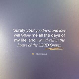 Psalms 23:6 - Surely your goodness and unfailing love will pursue me
all the days of my life,
and I will live in the house of the LORD
forever.