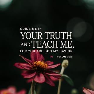Psalms 25:4-5 - Show me your ways, LORD,
teach me your paths.
Guide me in your truth and teach me,
for you are God my Savior,
and my hope is in you all day long.