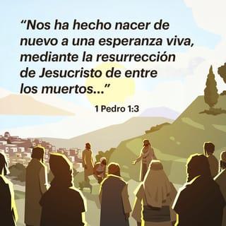 1 Pedro 1:3 - Bendito el Dios y Padre de nuestro Señor Jesucristo, que según su grande misericordia nos hizo renacer para una esperanza viva, por la resurrección de Jesucristo de los muertos