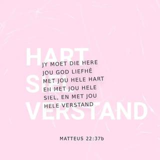MATTEUS 22:37 - Jesus antwoord hom: “ ‘Jy moet die Here jou God liefhê met jou hele hart en met jou hele siel’ en met jou hele verstand.