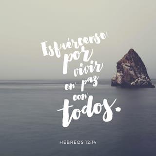 Hebreos 12:14 RVR1960