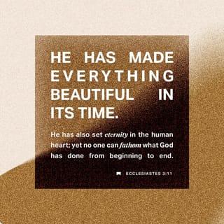 Ecclesiastes 3:11 - Yet God has made everything beautiful for its own time. He has planted eternity in the human heart, but even so, people cannot see the whole scope of God’s work from beginning to end.