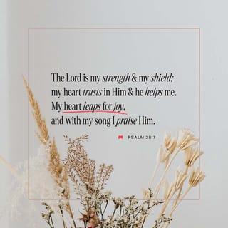 Psalms 28:7 - The LORD is my strength and my shield.
My heart trusts him.
I was helped, my heart rejoiced,
and I thank him with my song.