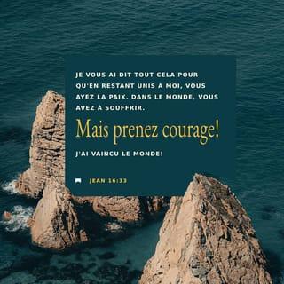 Jean 16:33 - Je vous ai dit cela pour que par moi, vous ayez la paix. Dans le monde, vous allez souffrir. Mais soyez courageux : j’ai vaincu le monde. »