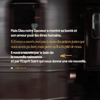 Tite 3:5 PDV2017