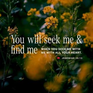 Jeremiah 29:13 - Then [with a deep longing] you will seek Me and require Me [as a vital necessity] and [you will] find Me when you search for Me with all your heart.