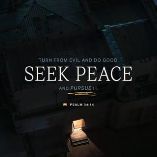 Psalms 34:14 - Turn away from evil, and do good.
Seek peace, and pursue it!