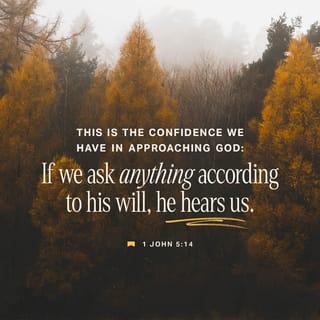 I John 5:14 - Now this is the confidence that we have in Him, that if we ask anything according to His will, He hears us.