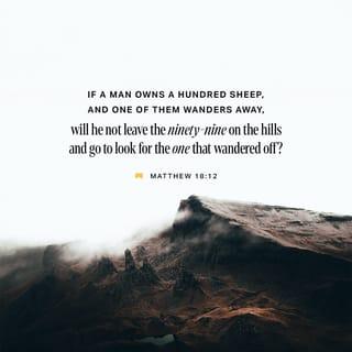 Matthew 18:12-14 - “If a man has a hundred sheep and one of them wanders away, what will he do? Won’t he leave the ninety-nine others on the hills and go out to search for the one that is lost? And if he finds it, I tell you the truth, he will rejoice over it more than over the ninety-nine that didn’t wander away! In the same way, it is not my heavenly Father’s will that even one of these little ones should perish.