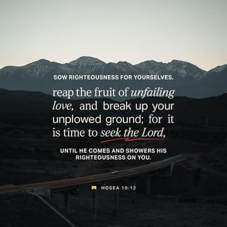 Hosea 10:12 - I said, ‘Plant the good seeds of righteousness,
and you will harvest a crop of love.
Plow up the hard ground of your hearts,
for now is the time to seek the LORD,
that he may come
and shower righteousness upon you.’