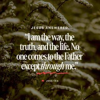 John 14:6 - Jesus said to him, I am the Way and the Truth and the Life; no one comes to the Father except by (through) Me.