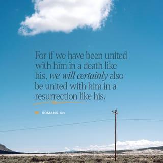 Romans 6:5 - For if we have been united with him in a death like his, we will certainly also be united with him in a resurrection like his.